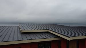 Sheet Metal Roofing in Rome City, IN